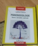 Psihosociologie. Teorii, cercetari, aplicatii