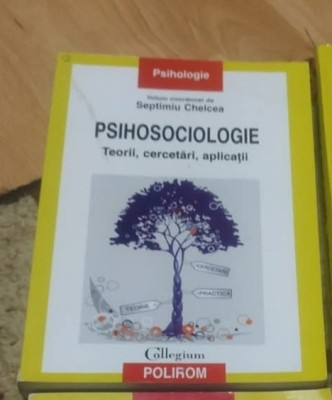 Psihosociologie. Teorii, cercetari, aplicatii foto