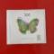 Vama - 2012 (CD)