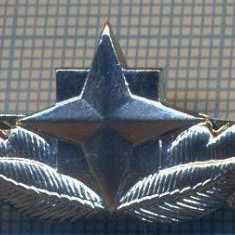 AX 780 INSIGNA - SEMN DE ARMA SRI - PENTRU COLECTIONARI