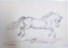 Traian Bradean - Cal Alerg&acirc;nd, Desen Original Semnat, 1988, 30x21 cm, Certificat Autenticitate