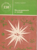 V. Rugină, Microorganismele și energia