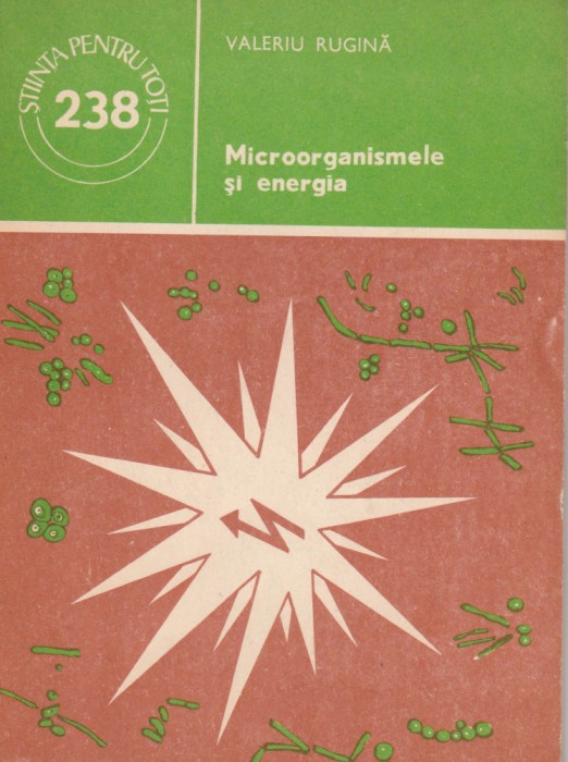 V. Rugină, Microorganismele și energia