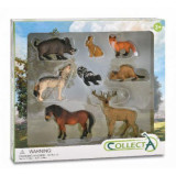 Set de 8 figurine pictate manual Animale din padure, Collecta