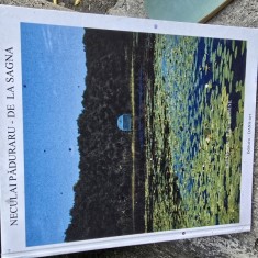 Album Eminescu-idei si semne, Neculai Păduraru de la Sagna