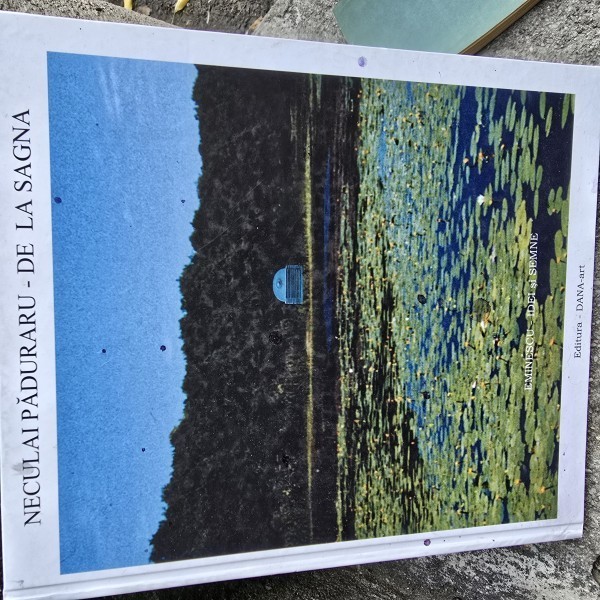 Album Eminescu-idei si semne, Neculai Păduraru de la Sagna