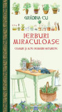 Grădina cu ierburi miraculoase. Ceaiuri și alte remedii naturiste - Paperback brosat - *** - Didactica Publishing House