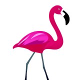 Cumpara ieftin Sticker decorativ, Flamingo, Roz, 78 cm, 10309ST, Oem