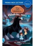 Cumpara ieftin Trei dorinte. Atragatorul Angus. Miniroman. Nivelul 3/Kiki Thorpe