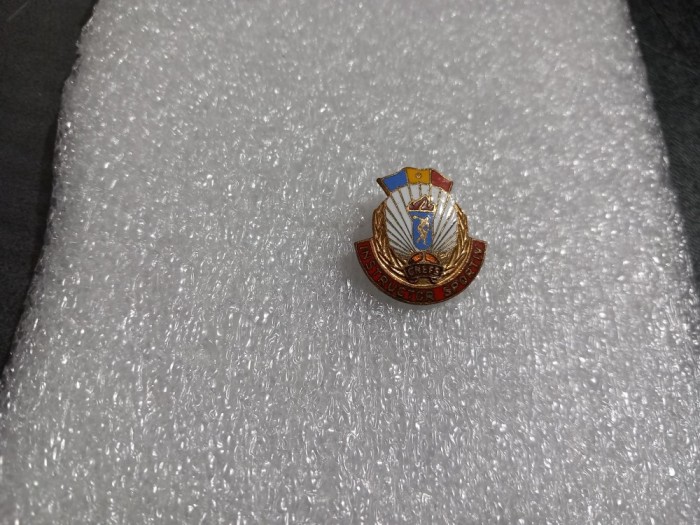 Insigna Instructor Sportiv