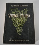 Th Bejan Viticultura