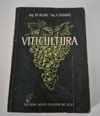 Th Bejan Viticultura foto