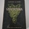 Th Bejan Viticultura