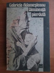 Gabriela Adamesteanu - Dimineata pierduta
