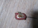 Insigna Sport RPR Campion