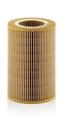 MANN-FILTER C 1041 Filtru aer foto