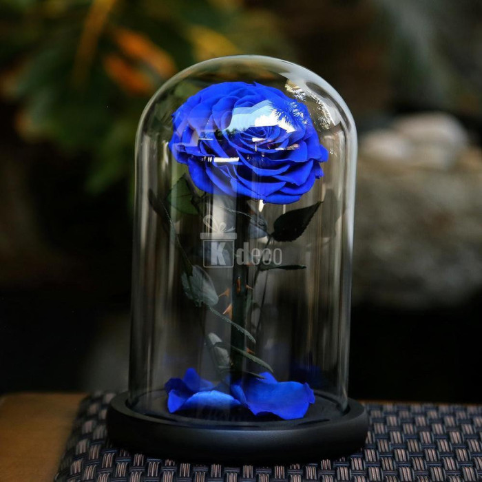 Trandafir Criogenat albastru mare &Oslash;9,5cm in cupola