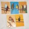 Pasari - Carte Postala veche &amp; 1 calendar Lot x 5 bucati