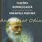 Flacara Dumnezeiasca Pe Care A Aprins-o In Inima Mea Parintele Porfirie