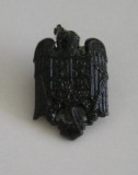 QW14 - Emblema militara / cuc - uscat - piesa de colectie
