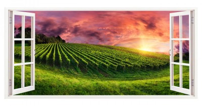 Sticker decorativ, Fereastra 3D, Natura, 85 cm, 334STK foto