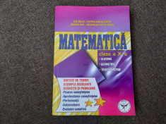 Matematica clasa a X a- Catalin Petru Nicolescu, Madalina Georgia Nicolescu P8 foto