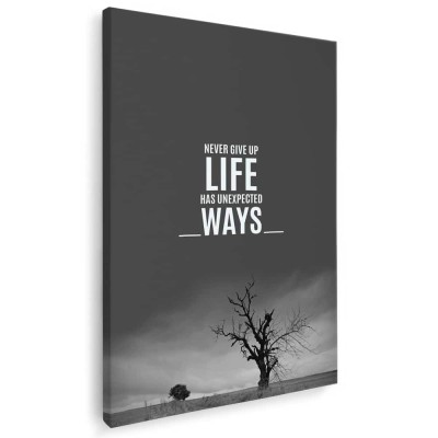 Tablou mesaj motivational despre viata alb negru 1494 Tablou canvas pe panza CU RAMA 50x70 cm foto