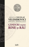 Ganduri despre bine si rau | Sf. Nicolae Velimirovici