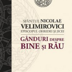 Ganduri despre bine si rau | Sf. Nicolae Velimirovici
