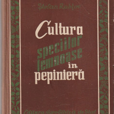 S. RUBTOV - CULTURA SPECIILOR LEMNOASE IN PEPINIERE ( 1958 )