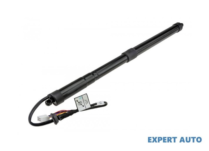 Telescop hayon stanga spate Toyota RAV4 V (2018-&gt;) #1