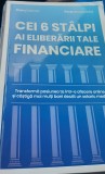 CEI 6 STALPI AI ELIBERARII TALE FINANCIARE Doru Pelivan, Pera Novacovici