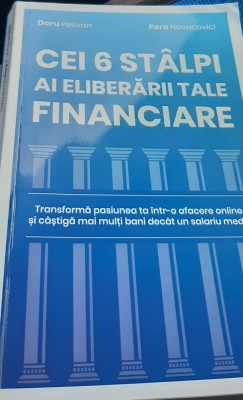 CEI 6 STALPI AI ELIBERARII TALE FINANCIARE Doru Pelivan, Pera Novacovici foto