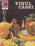 Silvius Teodorescu - Vinul casei