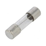 Siguranță cu &icirc;nt&acirc;rziere 32mA 250VAC cilindrică din sticlă