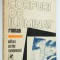 Corpuri de iluminat - Stelian Tanase