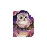 A Little Owl