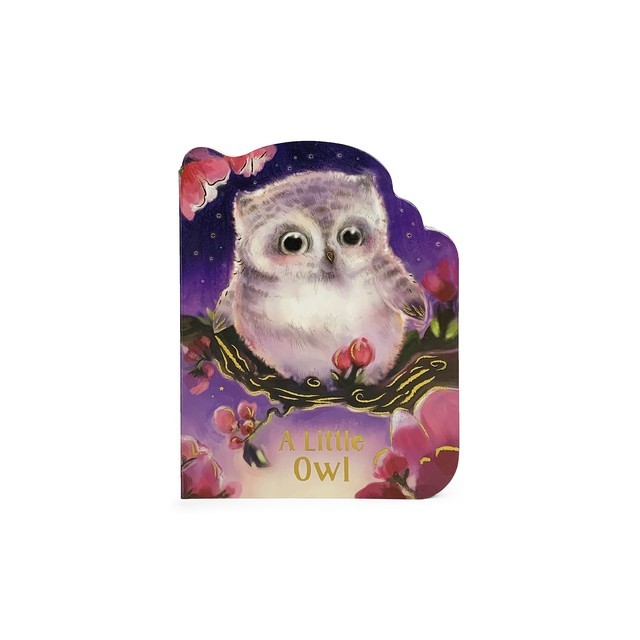 A Little Owl