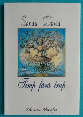 Sandu David &amp;ndash; Timp fara trup ( antologie ) foto