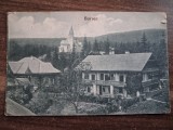 Borsec - Vedere.