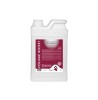 Diamex Sampon Volum Boost Caini, 1L, Rodie, Proteine Grau, Volumizare, Uz Profesional