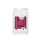 Diamex Sampon Volum Boost Caini, 1L, Rodie, Proteine Grau, Volumizare, Uz Profesional
