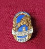 Insigna hipica