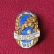 Insigna hipica