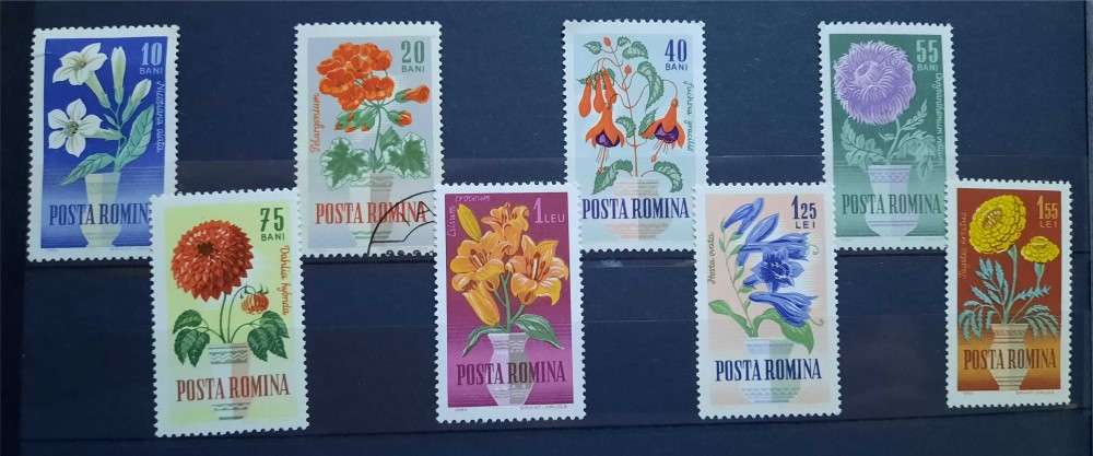 Timbre 1964 Flori de gradina | arhiva Okazii.ro
