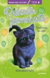 Pisicuța fermecată. Invitație la circ (Nivelul 6) - Paperback brosat - Sue Bentley - Litera