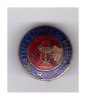 Insigna Societatea stiintelor medicale RPR, cu defect, email ciobit, Romania de la 1950