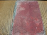 COPILUL NEBUNEI Vol.I - Adolf Sondermann - Editor Ignatz Hertz, 1852, 696 p.