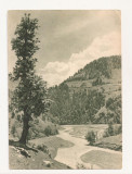 FA42-Carte Postala- GEORGIA - Valea Adjaris-Tskali ,necirculata 1955, Fotografie