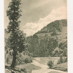 FA42-Carte Postala- GEORGIA - Valea Adjaris-Tskali ,necirculata 1955